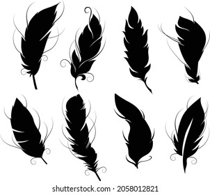 Ffeather vector art and illustration