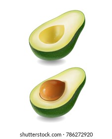 Ffresh fruit avocado isolated on white background. Realistic vector