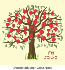 Fiat Illustration with a pomegranate tree. Tu Bishvat Holiday. New Year for Trees. Fruits. for invitations, postcards, posters