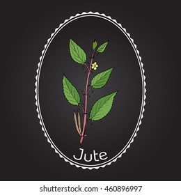 Fiber crop jute (Corchorus olitorius), or Nalta-jute, tossa-jute, Jew's mallow, West African sorrel, bush okra. Hand drawn botanical vector illustration