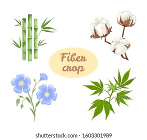 Fiber crops set.  Linen flower, hemp, cotton and bamboo. Vector illustration of plants in cartoon flat style. Cellulosic fiber plants. Sources for producing textiles and fabrics.