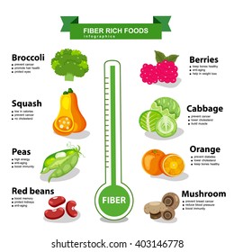 Fiber Rich Foods Infographics, illustration, vector