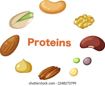 Fiber text around with nuts illustration