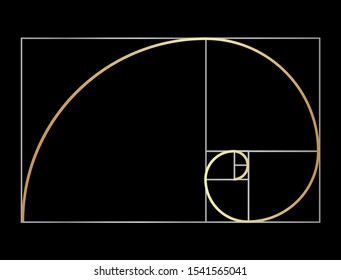 Fibonacci or Golden Ratio Black Background Illustration