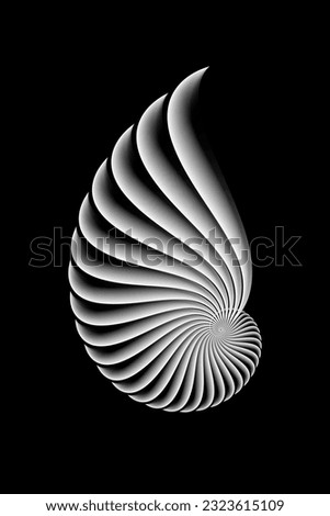 Fibonacci Golden ratio. Geometric shapes spiral. Snail spiral. Sea shell of white circles. Sacred geometry logo template. Vector isolated on black background