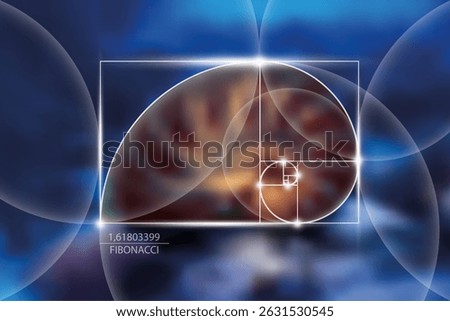 Fibonacci number sequence. Golden ratio. Geometric shapes spiral. Snail spiral. Nautilus Seashell. Sacred geometry template. Logarithmic sequences. Vector Blurred blue sea bottom background