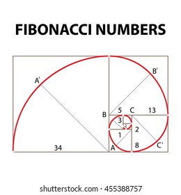 Fibonacci Numbers Stock Vector (Royalty Free) 455388757 | Shutterstock