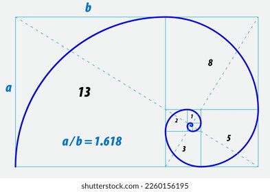 fibonacci ratio divine proportion isolated - 3d Illustration