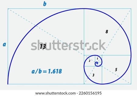 fibonacci ratio divine proportion isolated - 3d Illustration