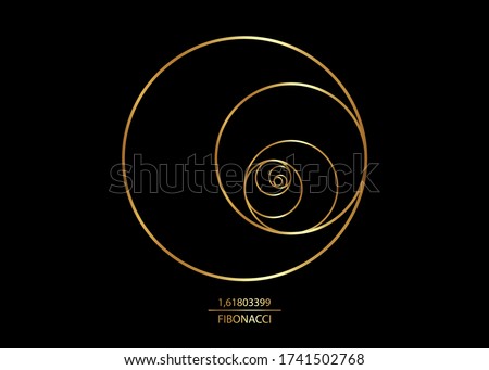 Fibonacci Sequence Circle. Golden ratio. Geometric shapes spiral. Circles in golden proportion. Futuristic minimalist fashion design. Luxury gold Logo. Vector icon isolate on black background 