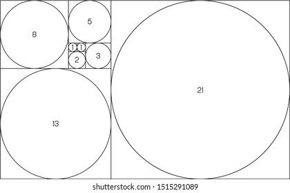 Fibonacci sequence of circles. Golden ratio geometric concept. Vector illustration.