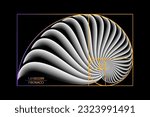 Fibonacci Sequence Golden ratio. Geometric shapes spiral. Snail spiral. Sea shell of white circles. Sacred geometry logo template. Vector isolated on black background