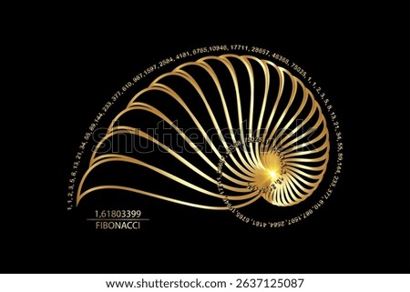 Fibonacci Sequence Golden ratio. Geometric shapes spiral. Snail spiral. Sea shell of gold circles. Sacred geometry logo template. Vector isolated on black background