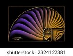Fibonacci Sequence Golden ratio. Gold geometric shapes spiral. Colorful Snail spiral. Sea shell of white circles. Sacred geometry logo template. Vector isolated on black background