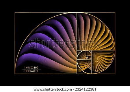 Fibonacci Sequence Golden ratio. Gold geometric shapes spiral. Colorful Snail spiral. Sea shell of white circles. Sacred geometry logo template. Vector isolated on black background
