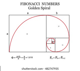 The Fibonacci spiral (also known as the Golden Spiral) with basic formulas on white background, vector illustration