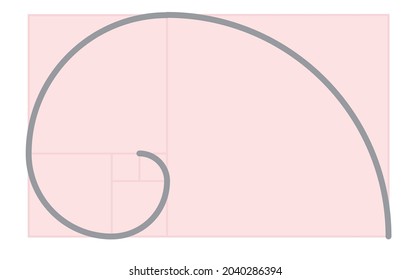 Fibonacci spiral math. vector illustration