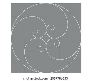 Fibonacci spiral math. vector illustration