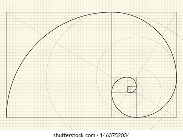 Espiral fibonacci. Ilustración vectorial. Dibujo de una hoja de papel a cuadros con líneas auxiliares y el esquema de construcción. Fondo geométrico abstracto del diseño técnico Relación de oro fibonacci