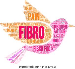 Fibro word cloud on a white background.