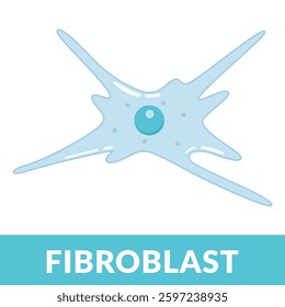 Fibroblast Cell structure Design Vector Illustration	