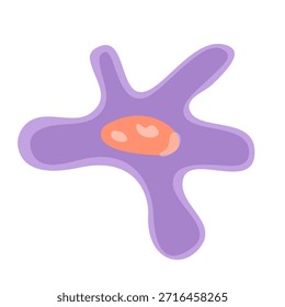 Fibroblasten-Vektorgrafik. Vektorgrafik mit menschlichen Immunzellen, einschließlich Makrophagen und Mastzellen, zur Darstellung der Biologie des Immunsystems und der Monozyten in der Immunologie