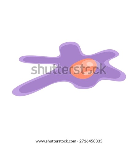 Fibroblast Vector Illustration. Vector illustration depicting human immune cells, including macrophages and mast cells, showcasing the biology of the immune system and monocyte types in immunology
