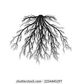 Fibrous root system. Black silhouette of branched rhizome. Vector illustration of underground part of plant