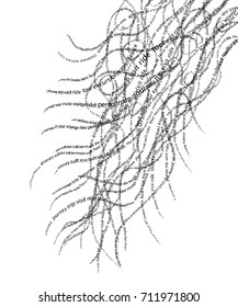 Fibrous Root Travel Tag Cloud. Trip KeyWords. Generative Art  
