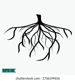 
fibrous roots, with a flat style design. illustration of fibrous roots. plant theme