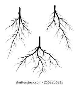 fibrous roots silhouette collection, nature element
