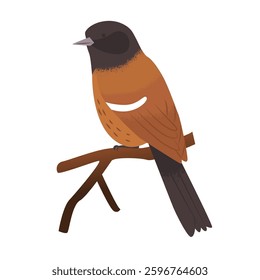 Fictional bird similar to a titmouse sits on a branch. Sparrow side view. Wildlife. Cute songbird. Clipart elements for creating ornaments and patterns. Vector illustration.