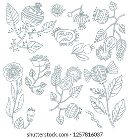 Fictional, doodle, whimsical flowers / vector illustration on white background, daisy weird plants.
