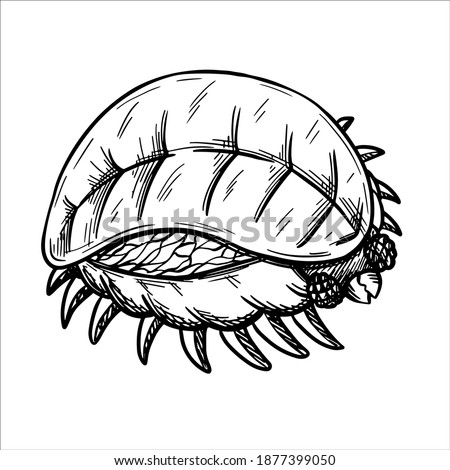 a fictional fearsome nasty termite. Vector graphics, linear art