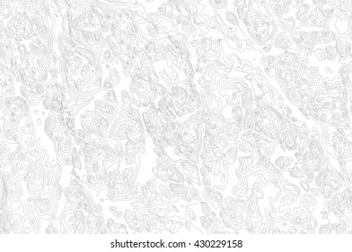 fictional topographic map, vector background