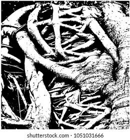 Ficus banyan. Silhouette. A tree with air roots. Isolated image on white background. Abstract drawing. Texture. Grunge style. Black and white drawing.