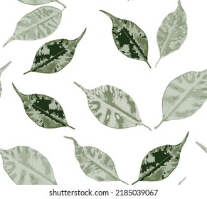 Ficus benjamina deja un patrón ininterrumpido. Fondo floral abstracto. Papel moderno para un diseño diferente. Hermosa ilustración portadora de follaje.