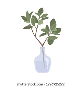 Ficus branch and glass vase for home decor. Vector illustration isolated on white background