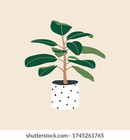 Ficus in dot ceramic flowerpot. Lovely houseplant isolated. Trendy hugge style, urban decor. Hand drawn sketch, naive art. Print, poster, banner, wallpaper. Logo, label. Green, white, black colors.