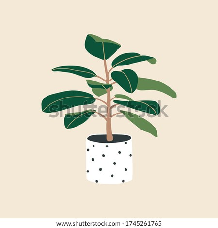 Ficus in dot ceramic flowerpot. Lovely houseplant isolated. Trendy hugge style, urban decor. Hand drawn sketch, naive art. Print, poster, banner, wallpaper. Logo, label. Green, white, black colors.
