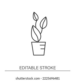 Icono de línea Ficus elastica. Jardinería doméstica. Perenne vegetación-xerófito perenne. Hermosa planta en la olla. Concepto de cuidado de plantas domésticas.Ilustración vectorial aislada.Accidente cerebral editable