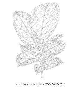Ficus Elastica Ruby branch and leaves outline low-polygon  on a white background  vector illustration editable hand drawn