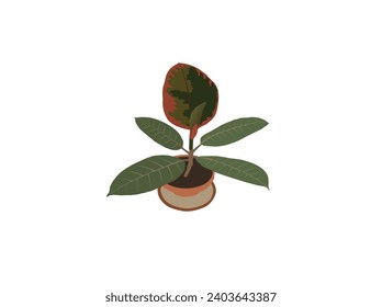 Diseño de Ficus Elastica vecktor. Caña elástica ficus. Eliminar el fondo de las imágenes es un trabajo duro. Este boceto de planta le ficus elastica PSD en Pngtree es ideal para principiantes. 