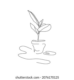 Ficus flower, plant in the pot. Continuous line drawing. Black linear sketch isolated on white background. Vector illustration, concept for logo, label, symbol, card, banner, poster, flyer