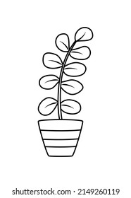 Ficus in a flower pot. Vector illustration contour doodle flower with leaves for room decoration