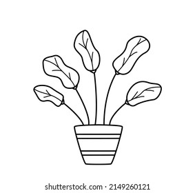 Ficus in einem Blumentopf. Kontur-Doodle-Blume mit Blättern zur Zimmerdekoration