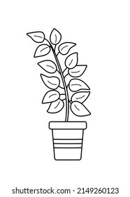 Ficus in a flower pot. Vector illustration contour doodle flower with leaves for room decoration
