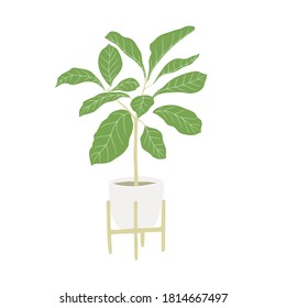 Ficus home plant. Hand drawn tree in ceramic basket with stand. Isolated on a white background. Vector illustration.