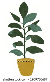 Ilustración De La Planta De Ficus House. Ilustración vectorial de la flor maceta, planta de caucho de estilo plano. Planta tropical en la olla. 