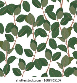 Ficus leaves hand drawn seamless vector pattern
